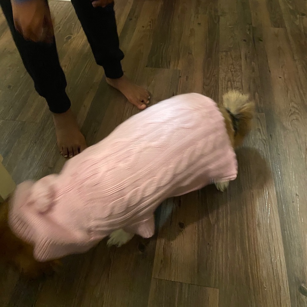 First Class Fido Dog Sweater Hoodie